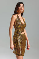Kiele V Neck Leopard Metal Set