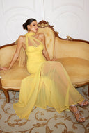 Ulasa Sleeveless Ruched Mesh Maxi Dress