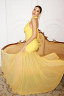 Ulasa Sleeveless Ruched Mesh Maxi Dress