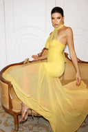 Ulasa Sleeveless Ruched Mesh Maxi Dress