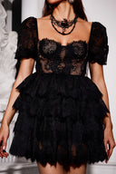 Sierra Lace Ruffled Mini Dress