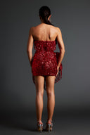 Glenda Strapless Diamond Setting Tassel Mini Dress
