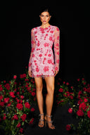 Locava Long Sleeves Netting Mini Dress