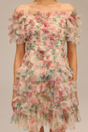 Hakula Off-The-Shoulder Flounce Mini Dress