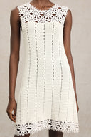 Samson Sleeveless Flowers Lace Mini Dress