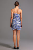 Sharina Strapless Lace Mini Dress
