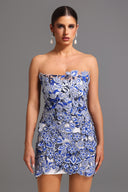 Sharina Strapless Lace Mini Dress