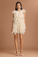 Waner Round Neck Diamond Sleeveless Folds Mini Dress