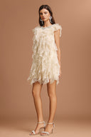 Waner Round Neck Diamond Sleeveless Folds Mini Dress