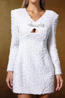 Fern Long Sleeve Sequin Mini Dress