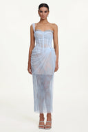 Ninon Corset Strapless Fish Bones Netting Maxi Dress