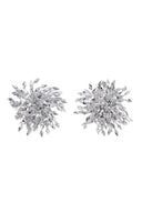 Edmee Tassels Fireworks Earrings
