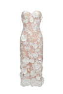 Oval Lace Tube Midi Dress
