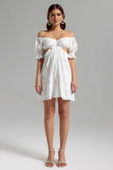 Susa Lace Cut Out Mini Dress