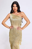 Xiara One Shoulder Tassel Dress
